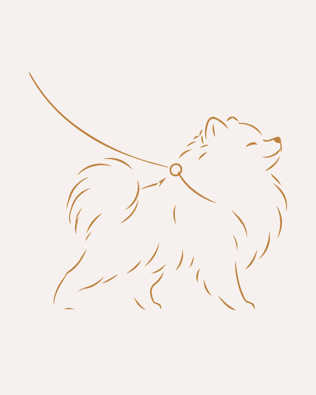 icone chien pour service sur-mesure